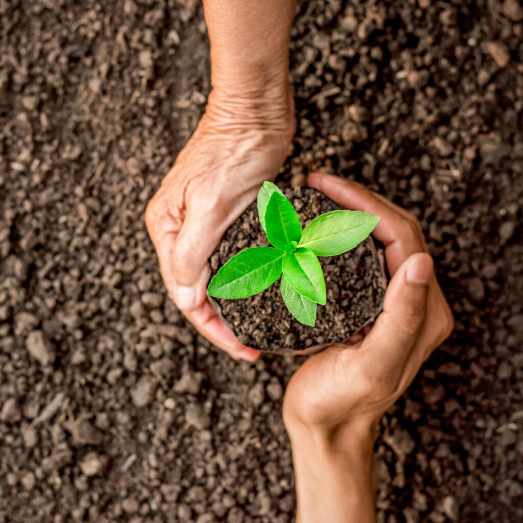 ISO 14001 certification in Iraq