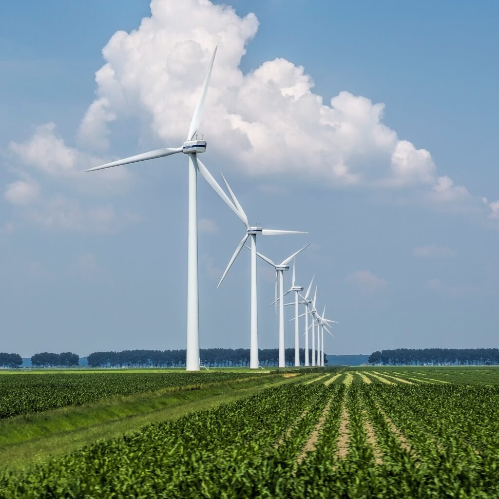 beautiful view wind turbines grass covered field captured holland scaled - Global ISO Certification Consultant Services - Qualitcert beautiful view wind turbines grass covered field captured holland scaled