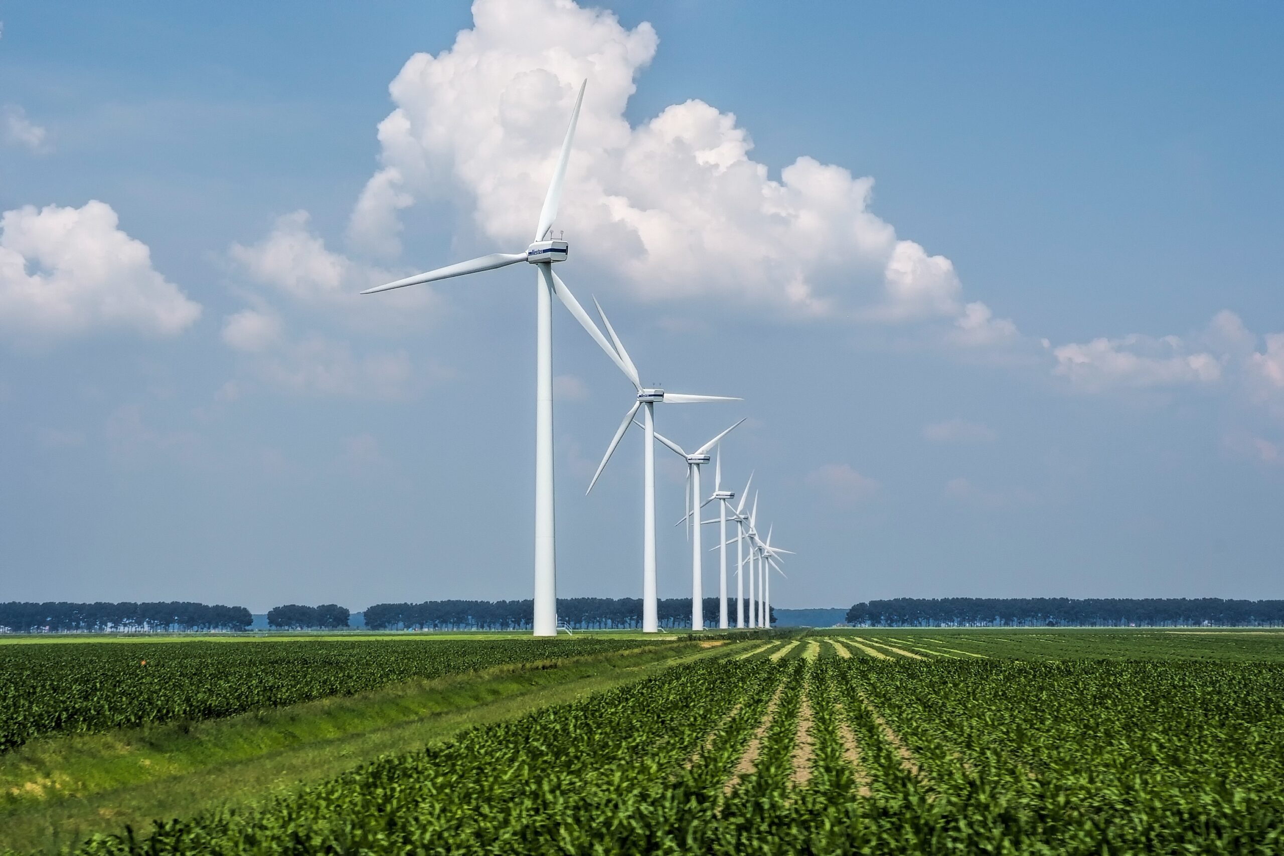 beautiful view wind turbines grass covered field captured holland scaled